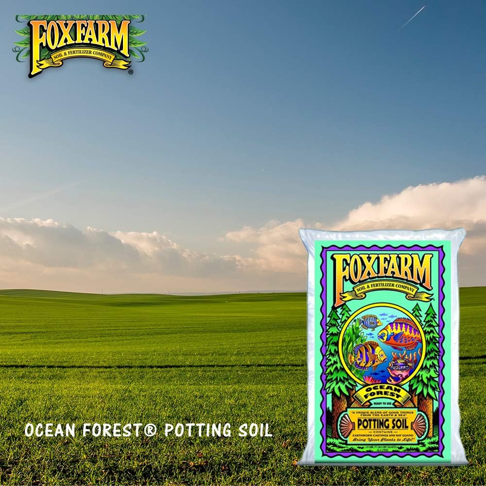 Fox Farm Ocean Forest and Happy Frog Potting Soil Organic Mix for Indoor Outdoor Plants (12 Quart, 2 Pack) Z2600