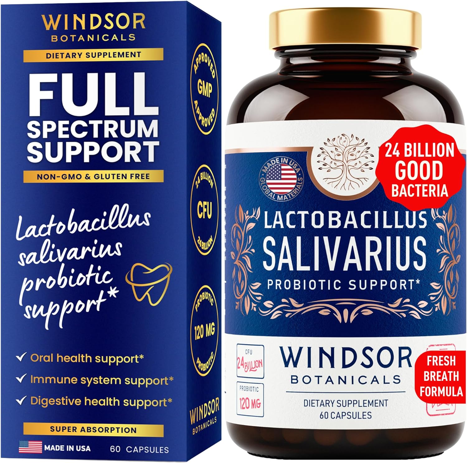 Lactobacillus Salivarius Probiotic Capsules - L Salivarius Probiotic Oral Dental Probiotics for Bad Breath, Teeth and Gums Health - Immune Support, Digestive Probiotic - 24bn CFU, 60 Caps