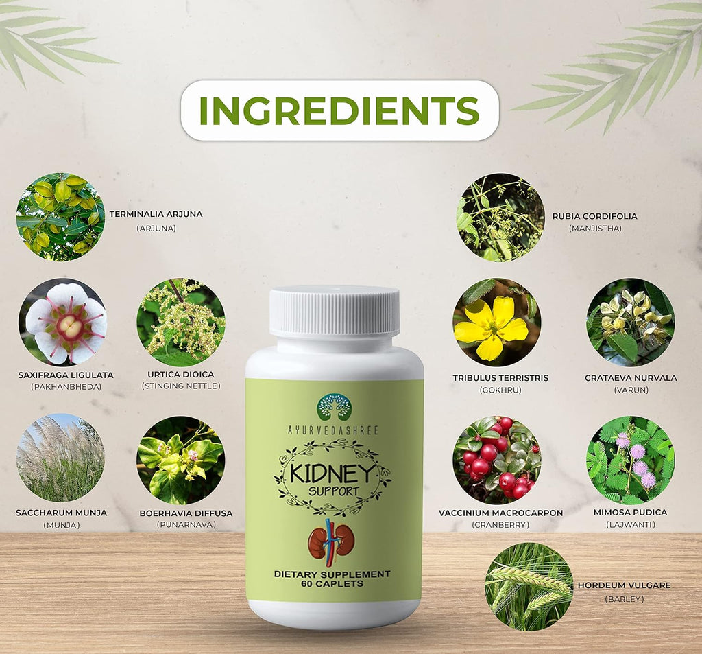 Kidney Support Herbal Supplement Vegan Gluten-Free 1000 MG Caplets X875