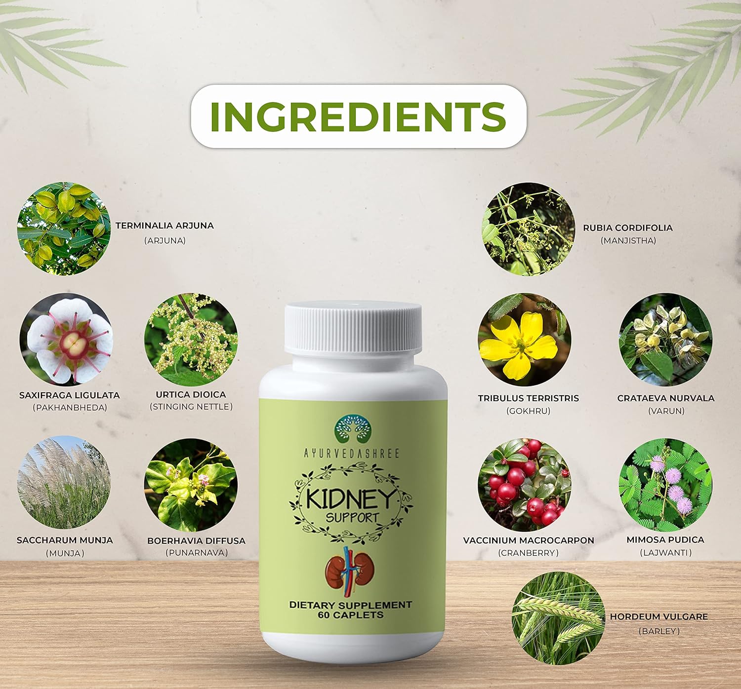 Kidney Support Herbal Supplement Vegan Gluten-Free 1000 MG Caplets X875