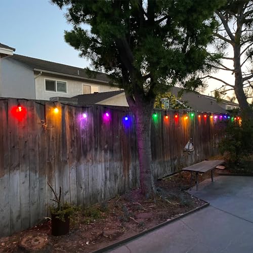 Feit Electric 24" 12pc Smart WiFi String Lights with Alexa & Google Assistant, Weather Resistant H519461