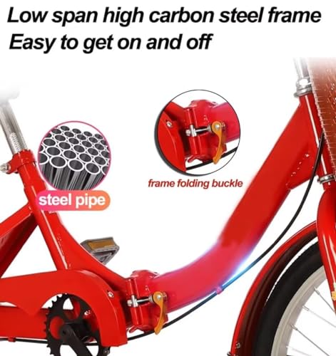 Folding Adult Tricycle with Back Seat, 3-Wheel Cruiser Bike D82805
