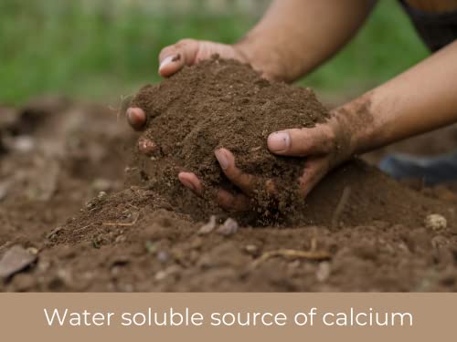 1 lb Gypsum Powder - Calcium Sulfate Dihydrate for Garden Soil B56315