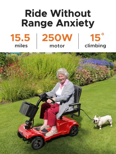 ENGWE Folding 4 Wheel Mobility Scooter for Seniors Adults, 250W, Blue U40219