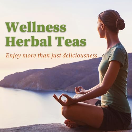 FullChea Yerba Mate Tea Bag, 40 Teabags, Unsmoked, from Argentina U193