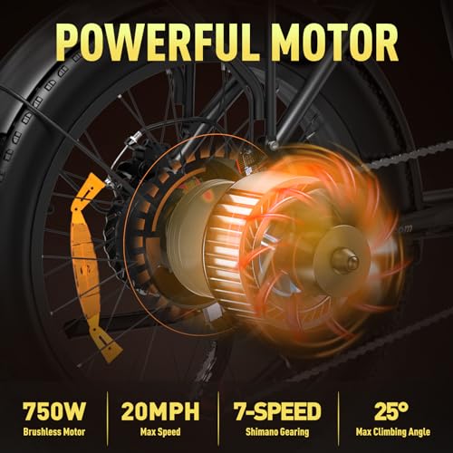 Foldable Electric Bike for Adults 750W 48V 12AH Fat Tire H4741