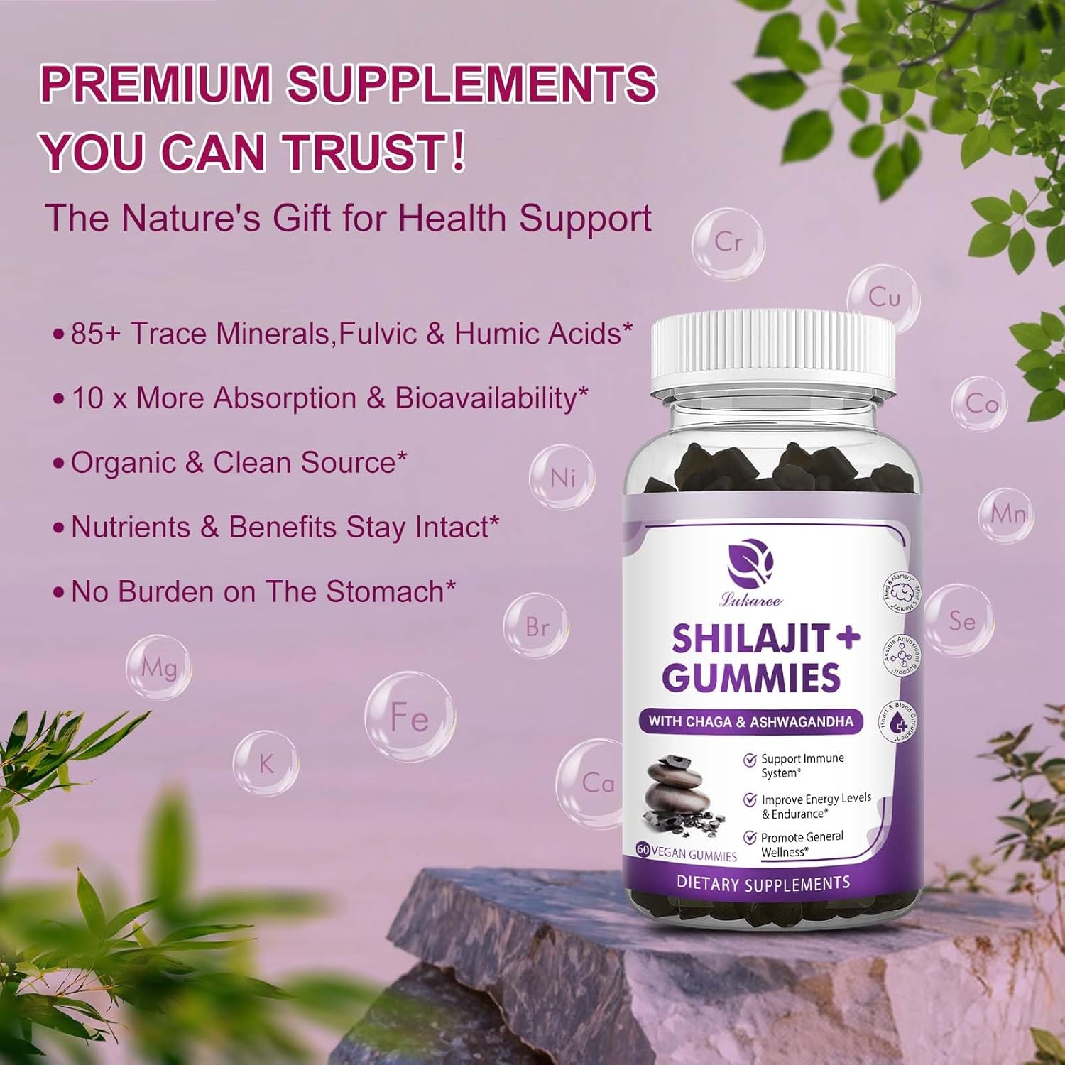 Shilajit Gummies with Ashwagandha, Black Seed Oil, Vitamins & Zinc, Sugar Free, Vegan L219