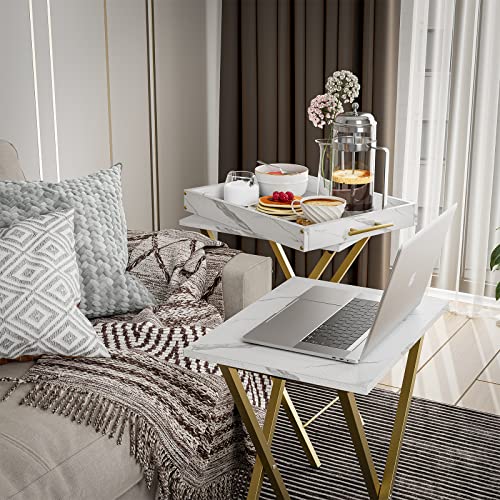 Folding TV Tray Tables with Removable Serving Tray, Set of 2 S62929