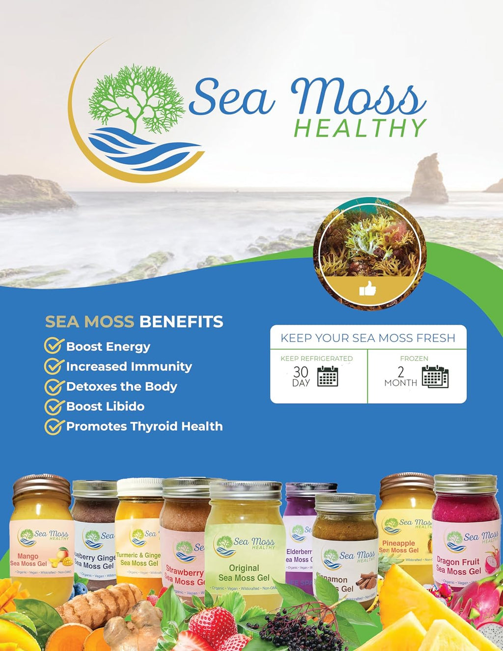 Sea Moss Gel Wild Harvested Non-GMO Vegan Blue Spirulina Blueberry 16 oz B850219