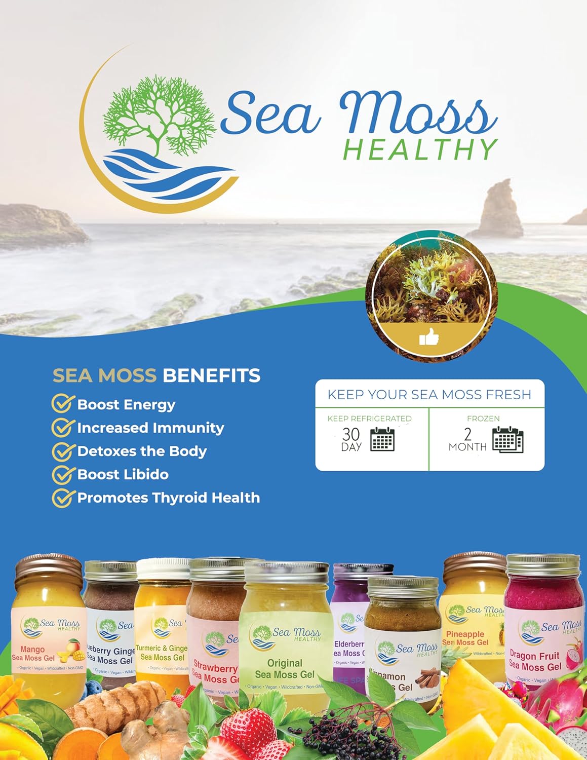 Sea Moss Gel Wild Harvested Non-GMO Vegan Blue Spirulina Blueberry 16 oz B850219