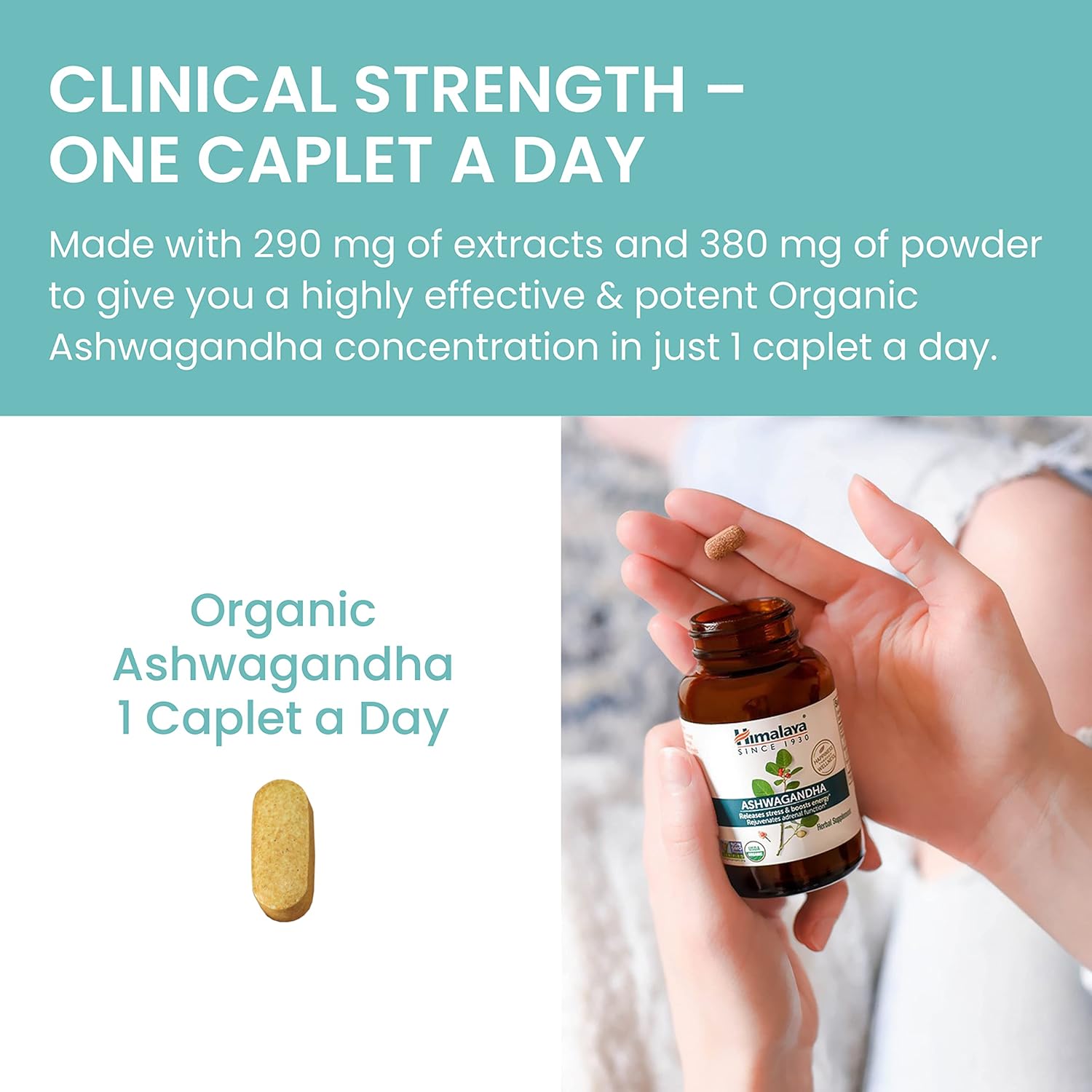 Himalaya Organic Ashwagandha Herbal Supplement, 90 Caplets T36190