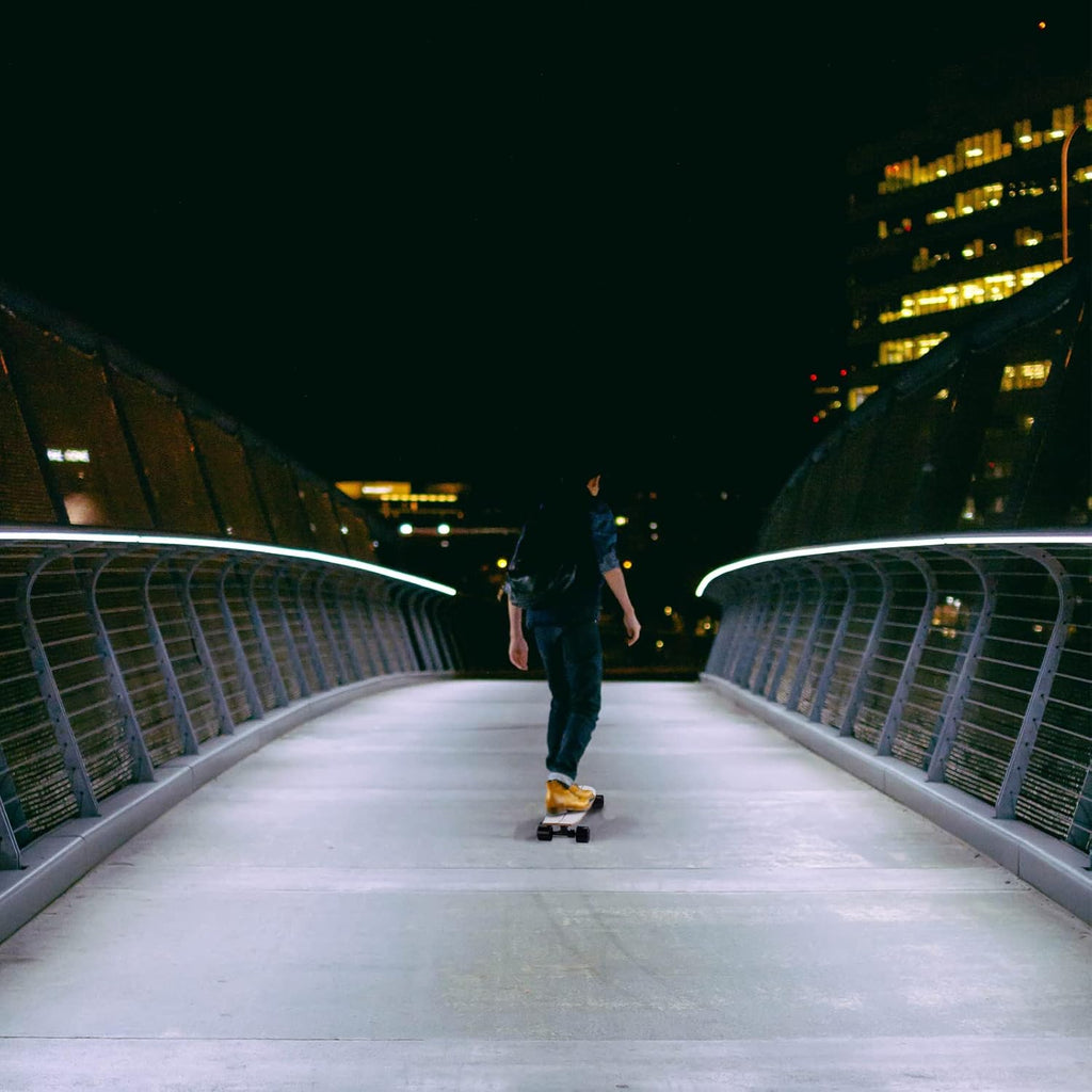 Electric Skateboard Longboard with Remote Control, 350W Hub Motor, 13 MPH O1305