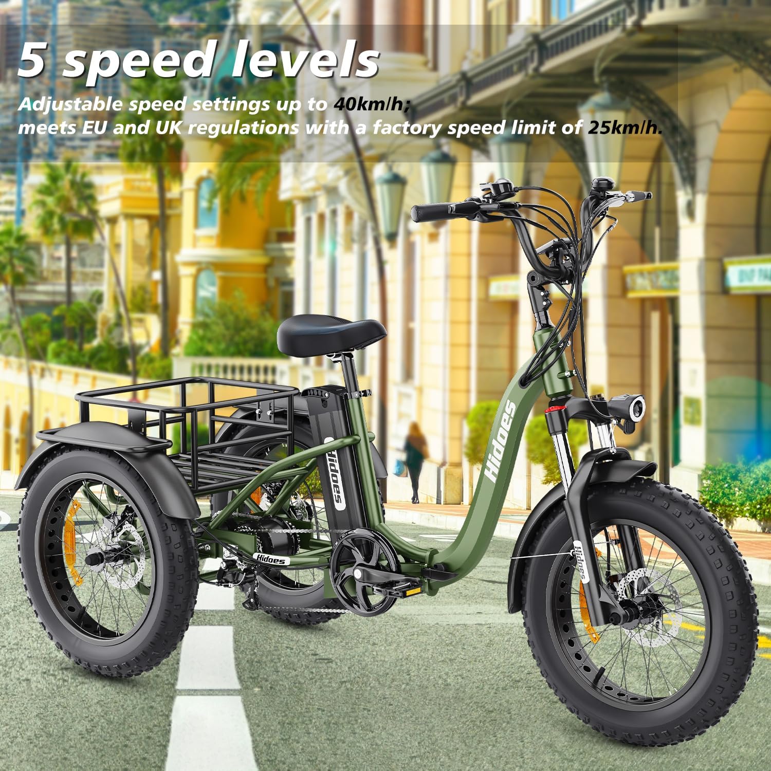 Hidoes Electric Tricycle for Adults, 1000W Peak, 48V 20Ah Removable Battery, 7 Speed Folding G3909