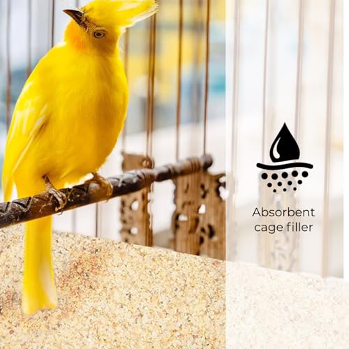 Coarse Silica Sand 10LB for Plants, Bonsai, Cactus & Garden Grit O97457