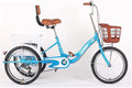 Adult Tricycle - 3 Wheel Bikes for Adults Shopping Adult Tricycles Single Speed for Adult Trikes 20 Inch 3 Wheel Bikes Three-Wheeled Bicycles with Shopping Basket for Seniors, Women
