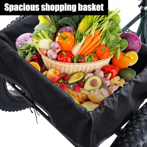 20 Inch Adult Tricycle, 7 Speed, Double Disc Brake A2071