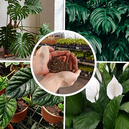 Organic Professional Grower Mix Potting Soil, 2 Quarts K680918