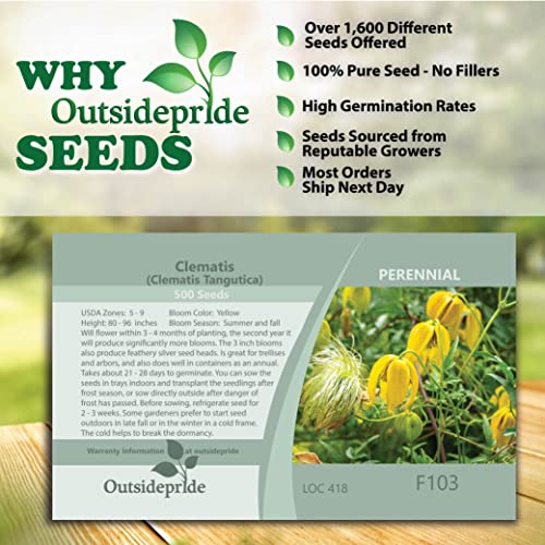 Outsidepride 1000 Seeds Perennial Clematis Climbing Vine K152