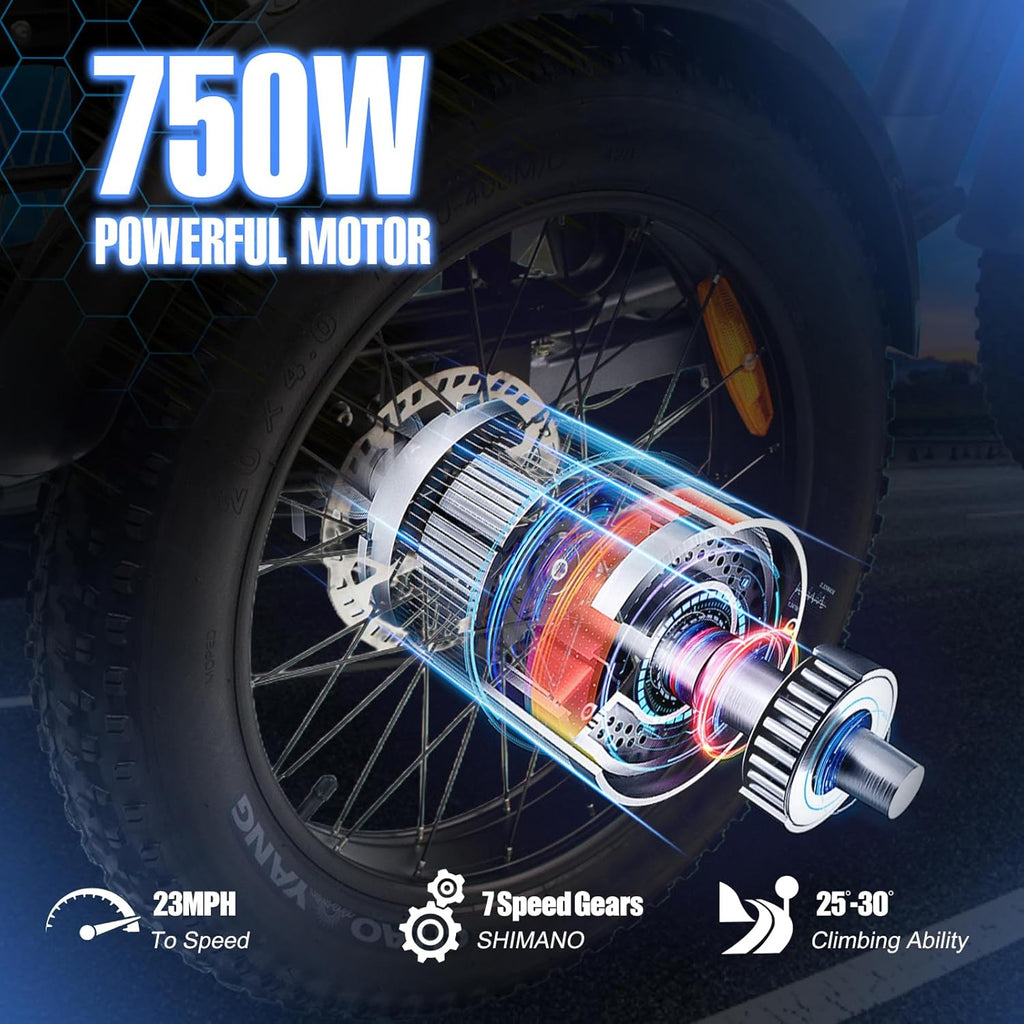 Electric Trike Adults 750W 20" Fat Tire 3 Wheel Electric Bike with Dual Removable Batteries U110