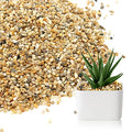 5 lb Coarse Sand Stone - Succulents and Cactus Bonsai DIY Projects Rocks, Decorative Gravel for Plants and Vases Fillers，Terrarium, Fairy Gardening, Natural Stone Top Dressing for Potted Plants.