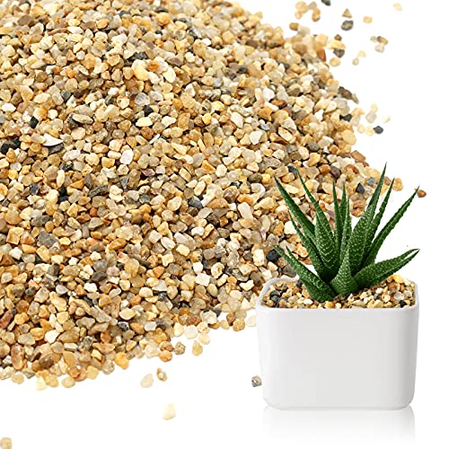 5 lb Coarse Sand Stone - Succulents and Cactus Bonsai DIY Projects Rocks, Decorative Gravel for Plants and Vases Fillers，Terrarium, Fairy Gardening, Natural Stone Top Dressing for Potted Plants.