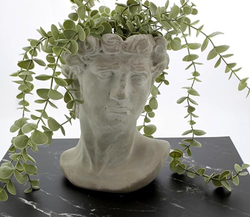 Greek Statue Head Cement Planter Indoor Outdoor Plant Pot X505