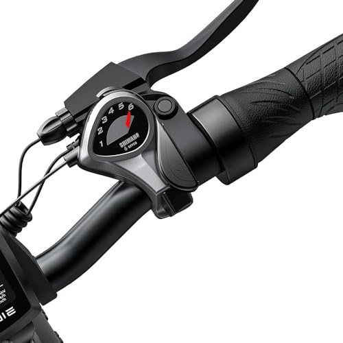 ENGWE Electric Bike for Adults, Foldable 1125W Peak Motor, 28Mph, 80Miles, 52V 13AH Battery M663843