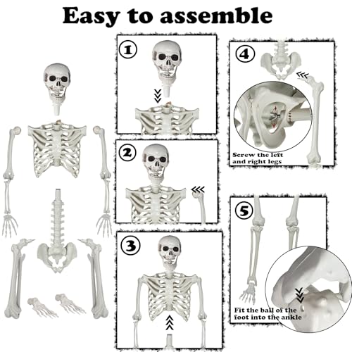 Halloween Life Size Skeleton with Movable Joints for Party Decoration X354