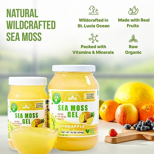 Wildcrafted Irish Sea Moss Gel Strawberry 16 oz C694348
