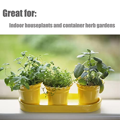 Organic Potting Soil Mix for Indoor & Outdoor Containers, 1 qt Z64719