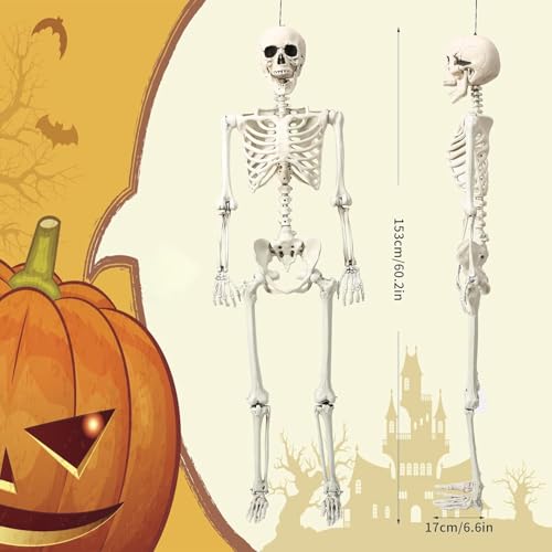 5.4 ft Posable Halloween Skeleton Decoration with Movable Joints L910930