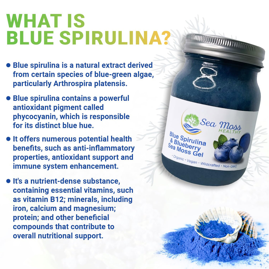 Sea Moss Gel Wild Harvested Non-GMO Vegan Blue Spirulina Blueberry 16 oz B850219