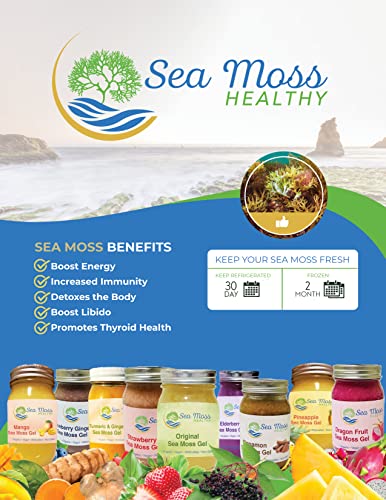 Irish Sea Moss Gel Wild Harvested Organic Non-GMO Vegan Mango Q632500