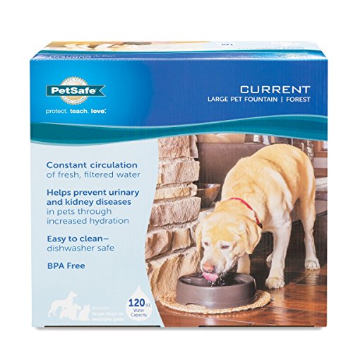 PetSafe Current Circulating Dog and Cat Water Fountain, Forest, Medium, 80 oz. N219666