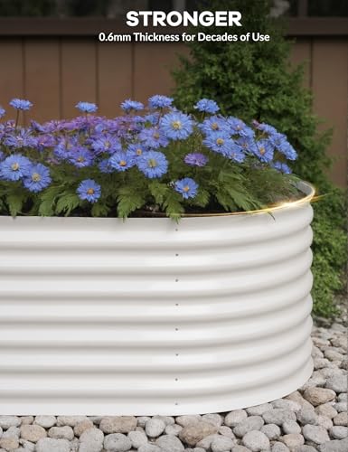 4x2x2Ft Oval Galvanized Steel Raised Garden Bed - Outdoor Metal Planter Box for Vegetables, Flowers, Herbs L43315