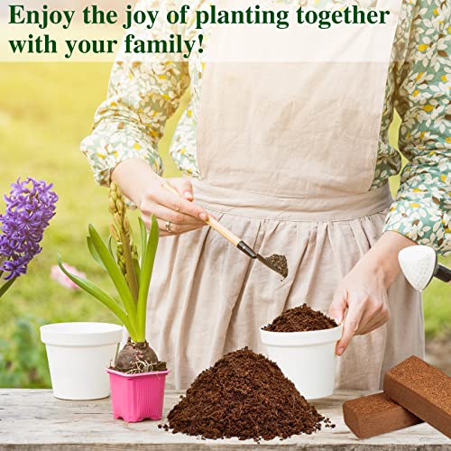ZeeDix Coco Coir Brick 10 Pack, 24 Gallons Potting Soil for Plants N850540