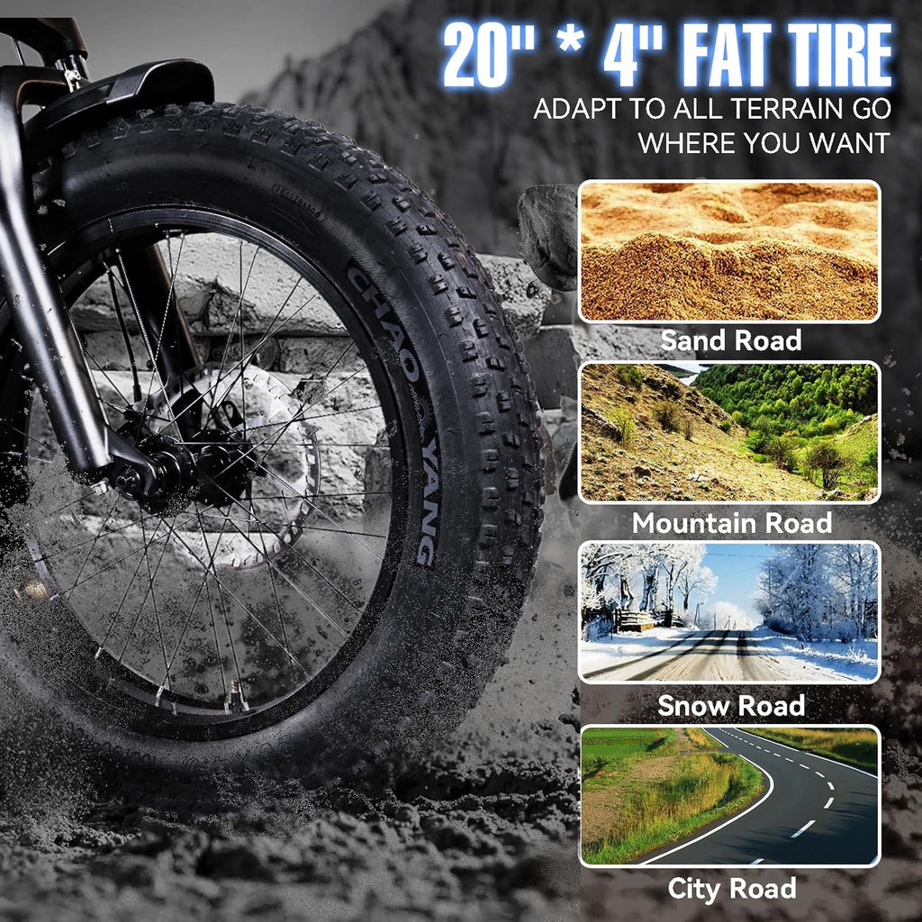 Electric Trike Adults 750W 20" Fat Tire 3 Wheel Electric Bike with Dual Removable Batteries U110