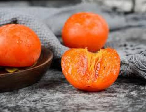 120 Japanese Persimmon Seeds for Planting Outdoors Non GMO Heirloom Y159
