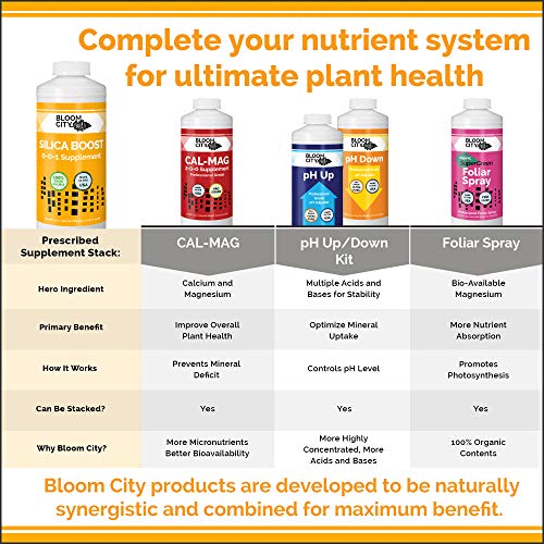 Bloom City Liquid Silica Boost Fertilizer, Quart (32 oz) H465