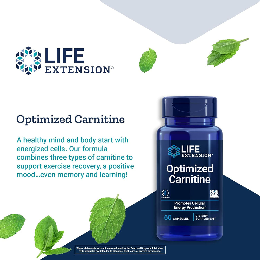 Life Extension Optimized Carnitine L-Carnitine Supplement, 60 Capsules H40327