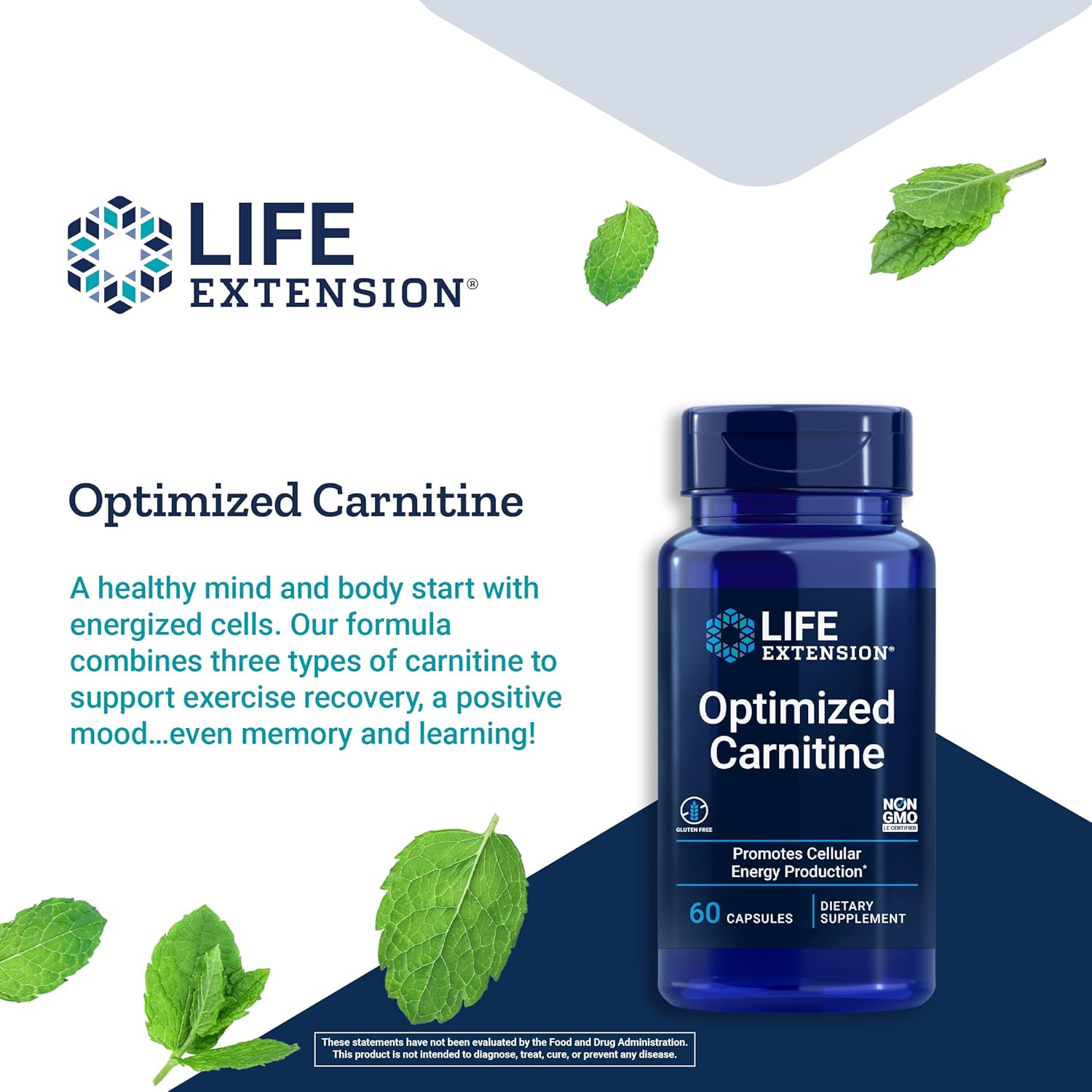 Life Extension Optimized Carnitine L-Carnitine Supplement, 60 Capsules H40327