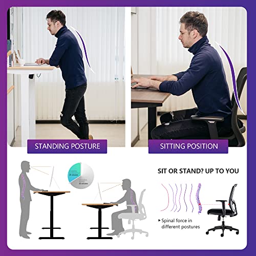 Electric Standing Desk 48 x 24 Inch Height Adjustable for Home Office J89367