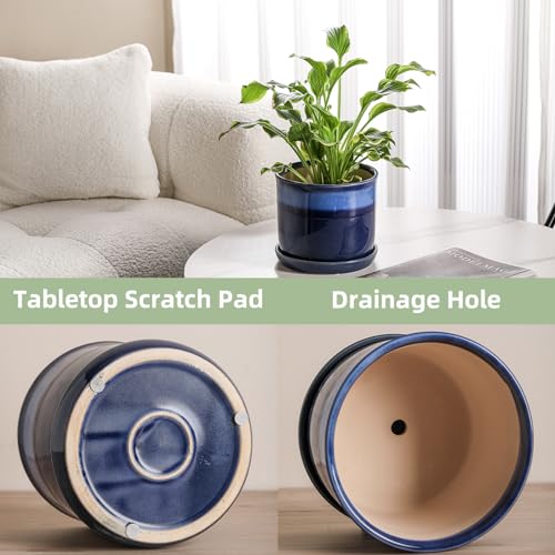 8 Inch Ceramic Plant Pot with Drainage Hole & Saucer for Indoor Outdoor A9888