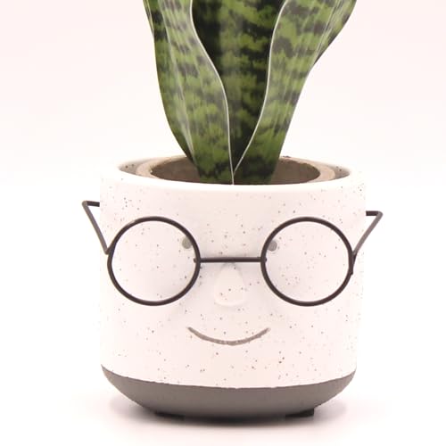 Face Planter Pot with Drainage, Cute 4 inch Head Plant Pot with Glasses (Green)