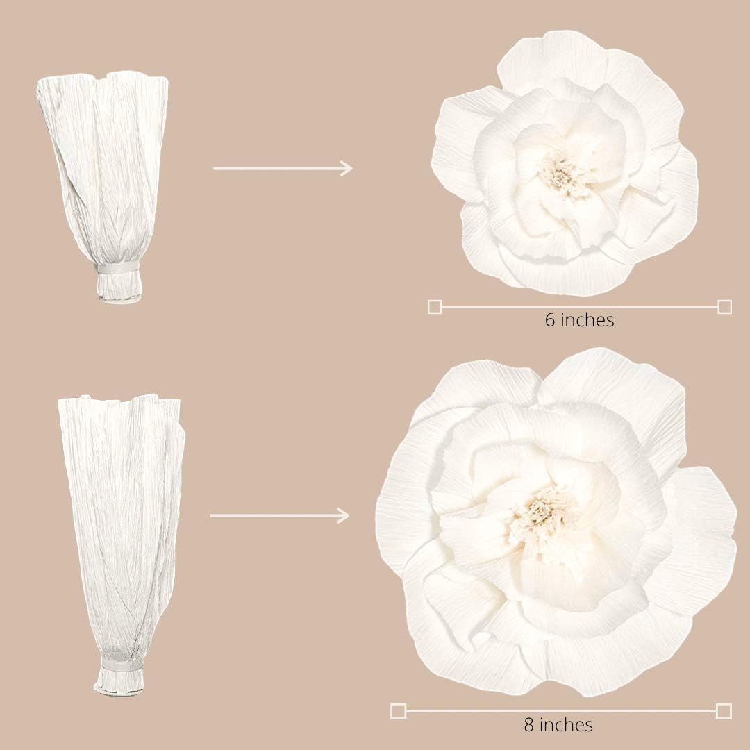 INNOBOUTIQUE Large 3D Paper Flower Wall Decor (6Pcs) X676357