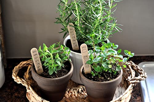 Organic Potting Soil Mix for Indoor & Outdoor Containers, 1 qt Z64719