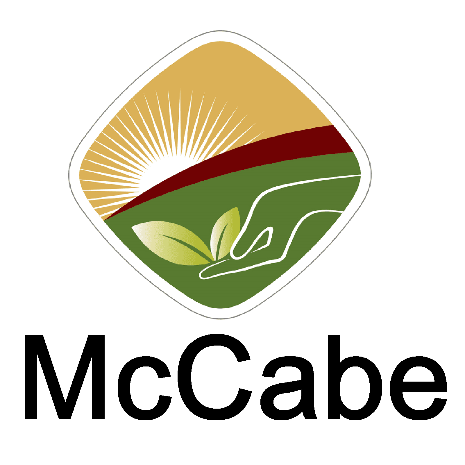 MCCABE ORGANIC BROWN SWEET RICE W33032