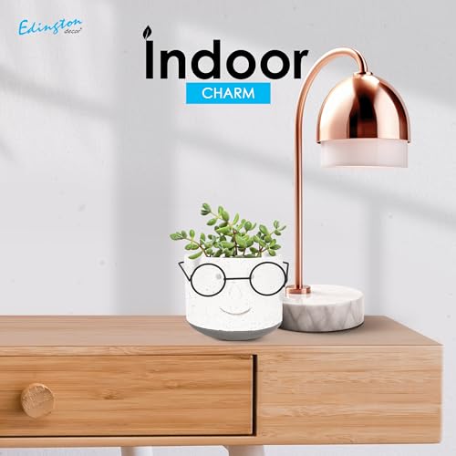 Face Planter Pot with Drainage, 4 inch Head Plant Pot with Glasses (Green) M651652