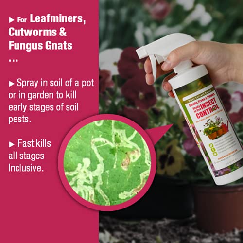 EcoVenger Garden Insect Control 16OZ, Plant Extract Based, Indoor & Outdoor V858