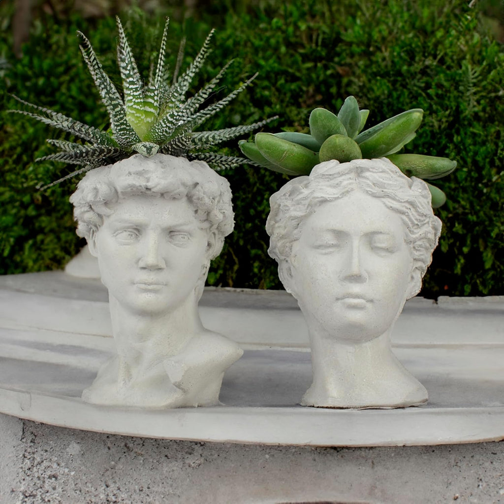 Unique Head Planter Succulent Pots Greek Mythology David Face Statue Bust Concrete Indoor Outdoor Garden 5 Inch Set of 2 Gray E4106